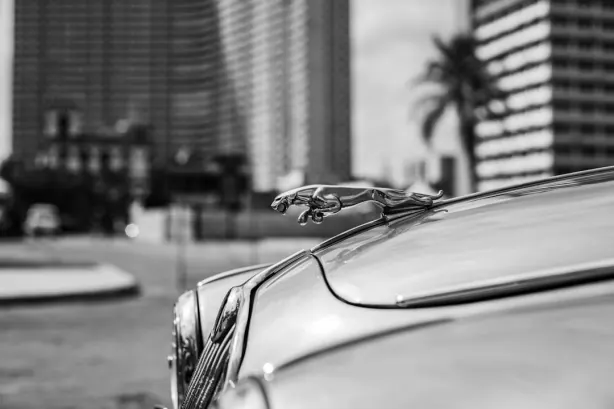 Betobet Kaszinó Android/iOS Alkalmazás